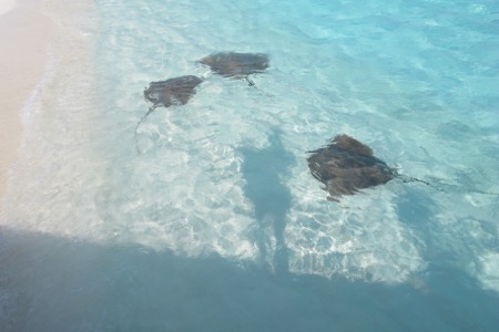 e0338303_11441470.jpg