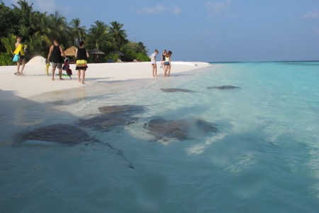 e0338303_11454481.jpg