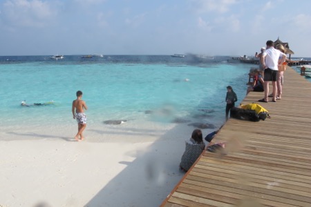 e0338303_1146595.jpg