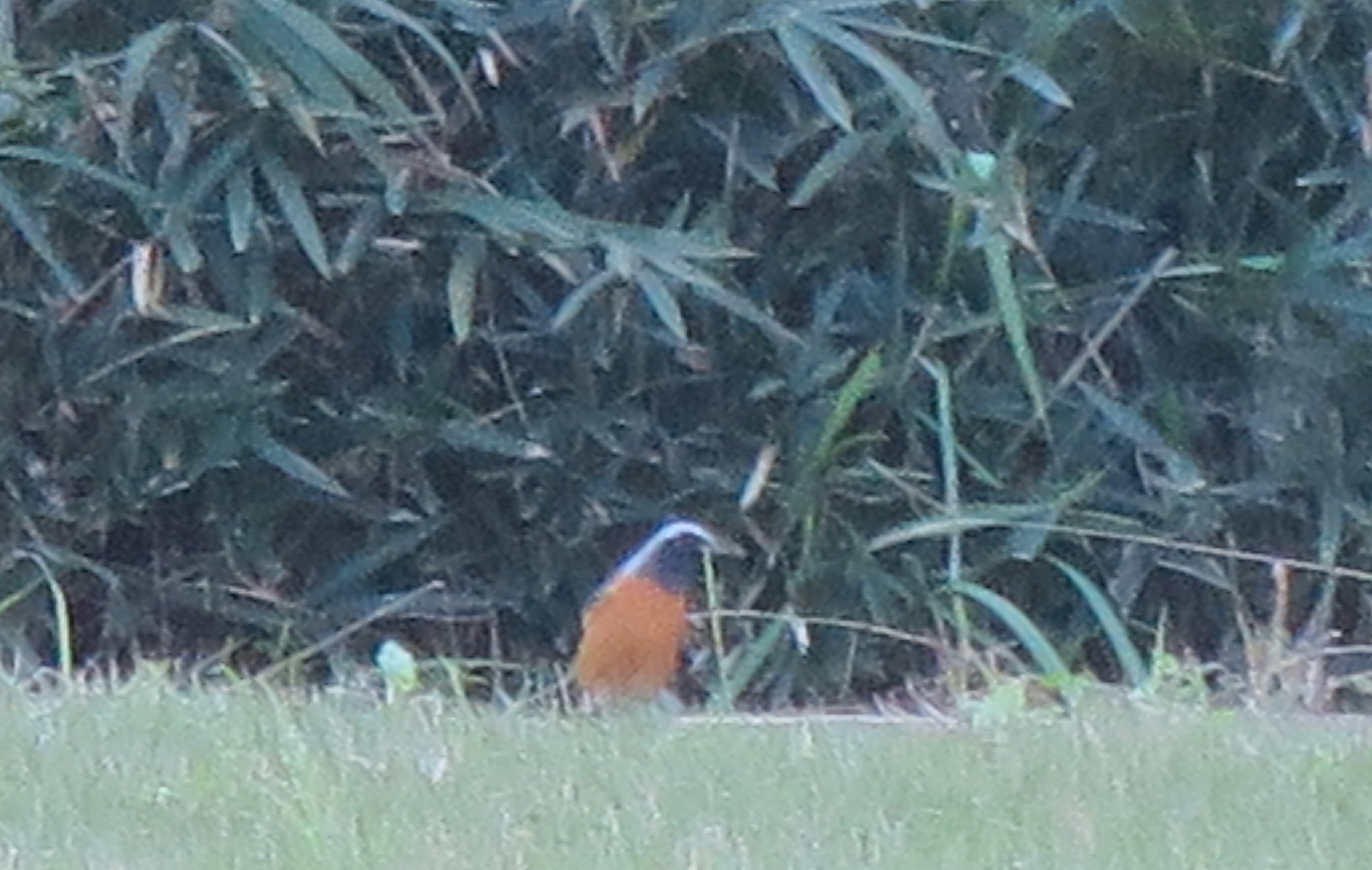 c0212604_17384423.jpg