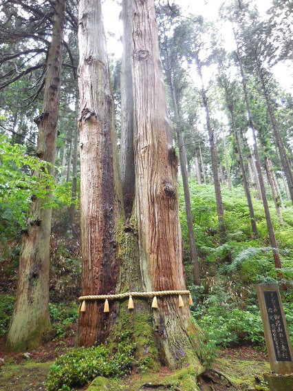 10月28日　午後　御岩神社【宇宙編】_d0009105_2229384.jpg