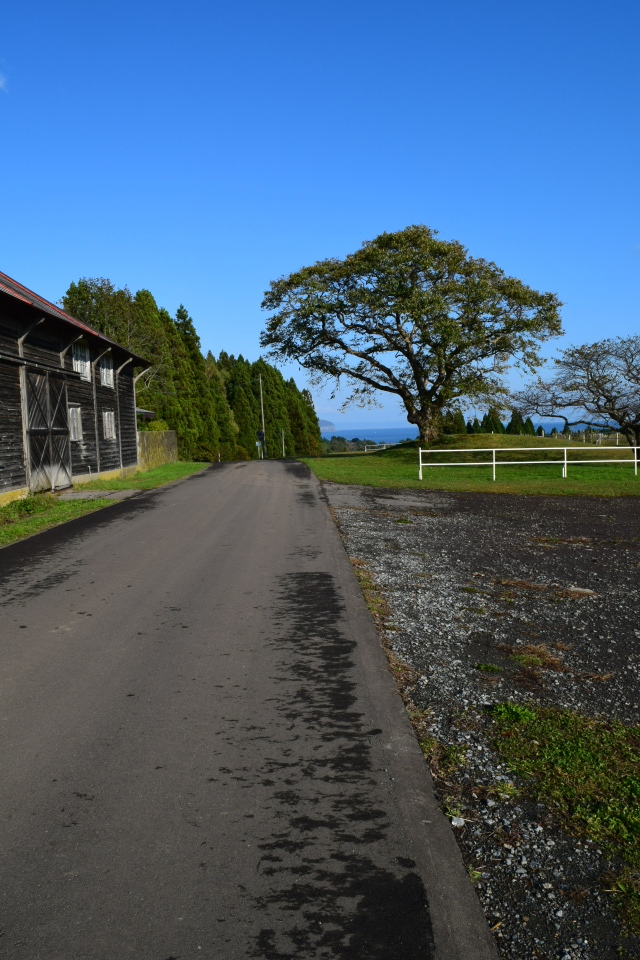 灯台の聖母トラピスト修道院(函館の建築再訪)_f0142606_06410733.jpg