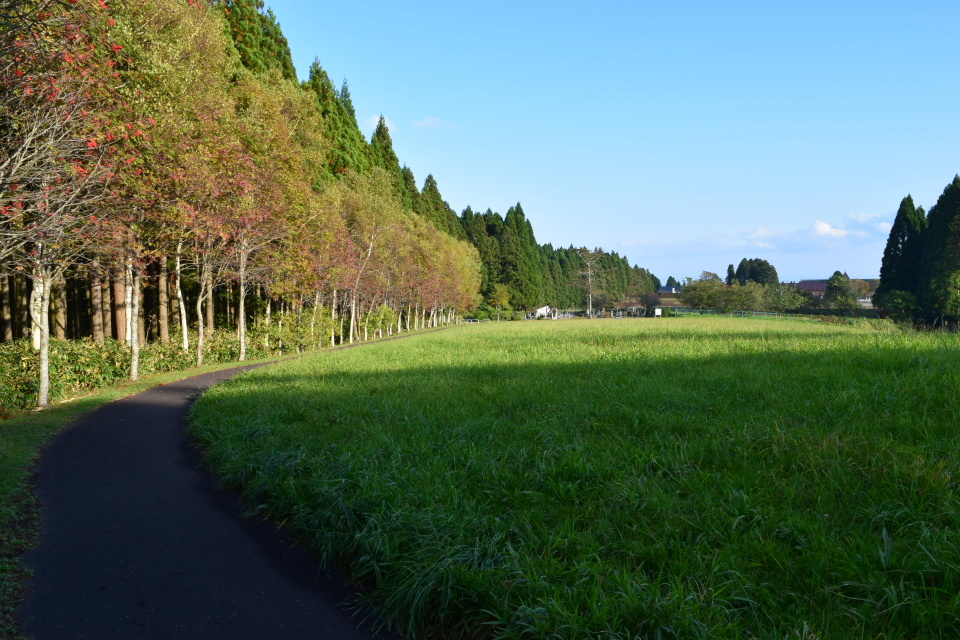 灯台の聖母トラピスト修道院(函館の建築再訪)_f0142606_08493426.jpg