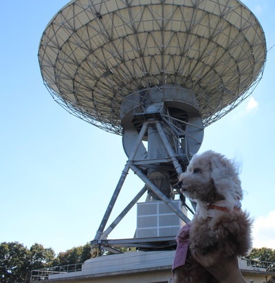 c0041207_1711883.jpg