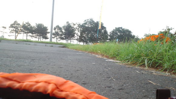 c0336907_18044758.jpg