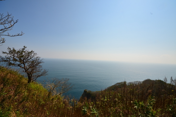 c0336907_18364798.jpg