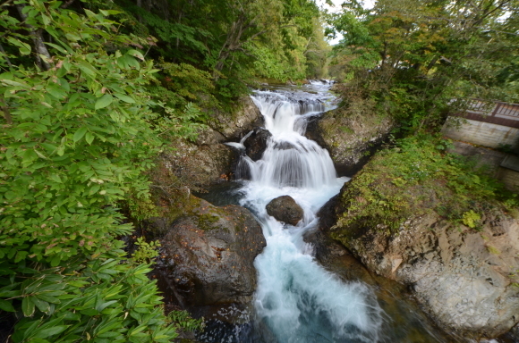 c0336907_18392565.jpg