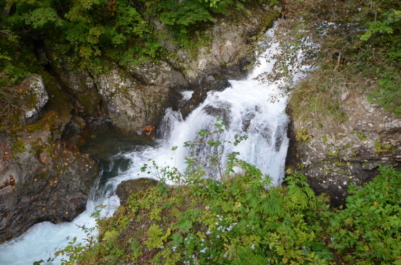 c0336907_18392802.jpg