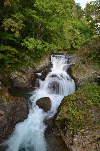 c0336907_18393052.jpg
