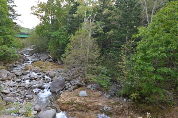 c0336907_18395409.jpg