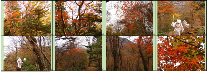 f0231709_0272547.png