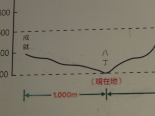 f0231709_030439.jpg