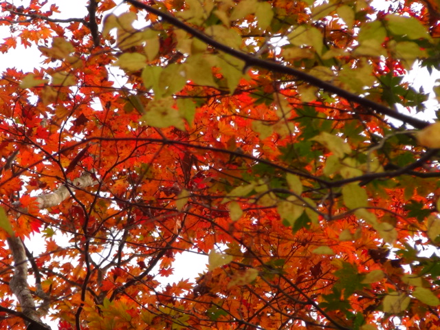 f0231709_0382275.jpg