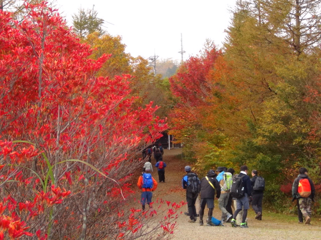 石鎚山頂から見たお日の出…2016/11/3_f0231709_0454042.jpg