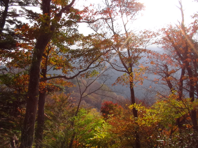 f0231709_1052593.jpg
