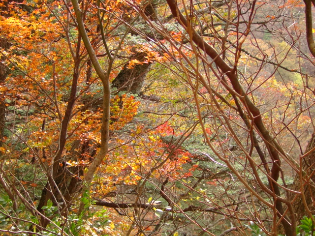f0231709_110269.jpg