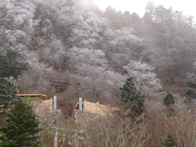 f0231709_1112367.jpg