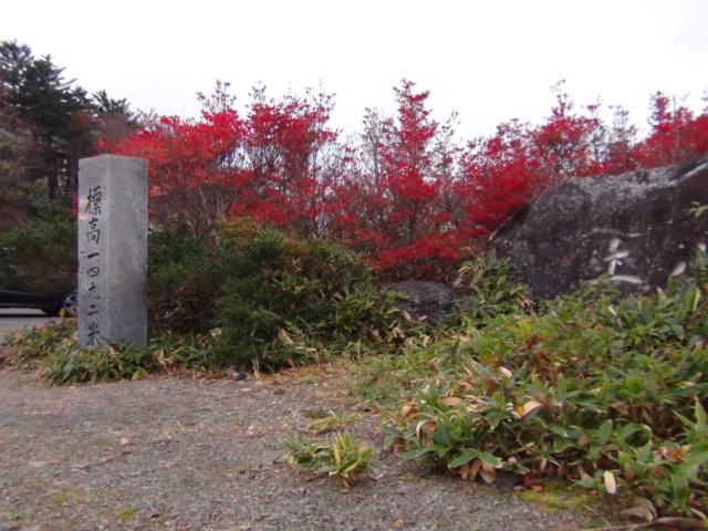 f0231709_11173936.jpg