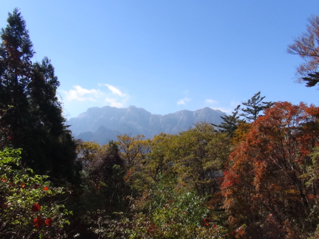 f0231709_923100.jpg