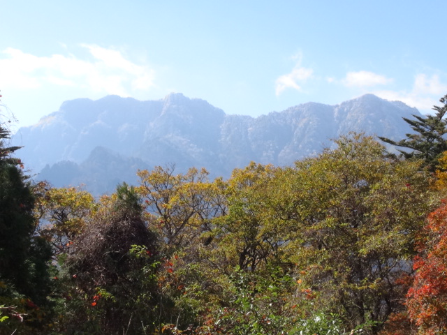 f0231709_942946.jpg