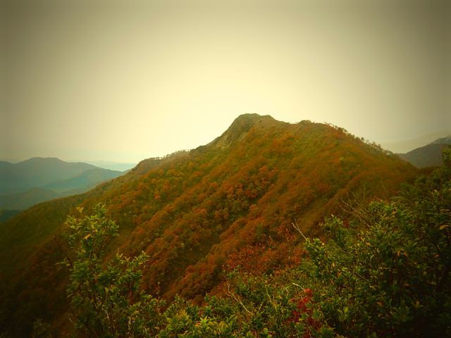 2016秋 山陰旅day1 大山/船上山〜縦走  紅葉の大山に逢いに…_b0183911_23531340.jpg