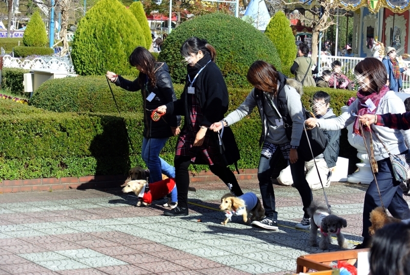 d0179113_01250940.jpg