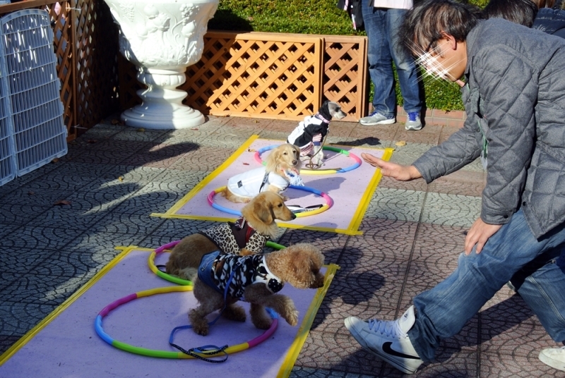 d0179113_01252589.jpg