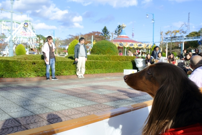 d0179113_01254269.jpg