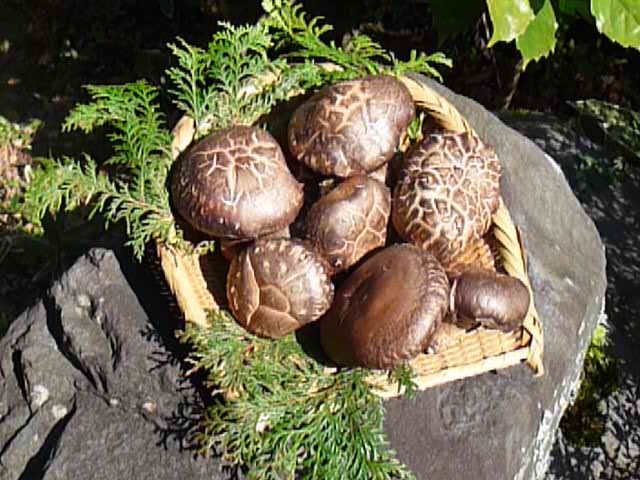 f0182513_23391780.jpg