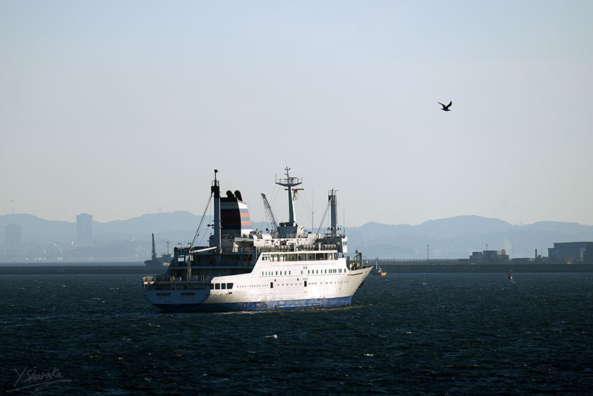 f0344614_21485946.jpg