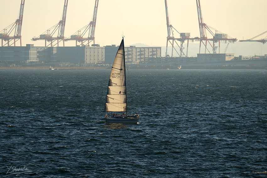 f0344614_21522487.jpg