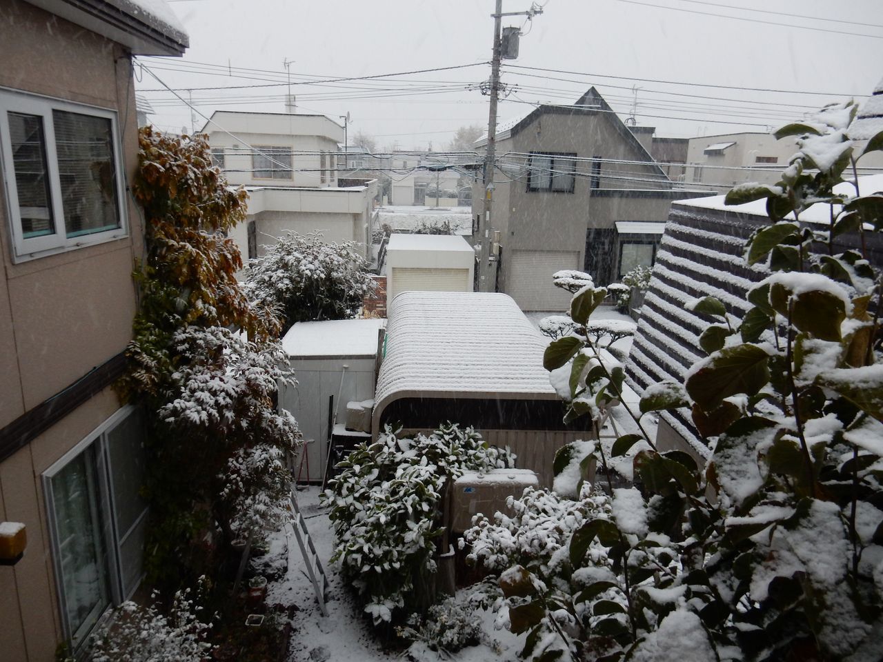 夜が明けたら雪国だった_c0025115_21093607.jpg