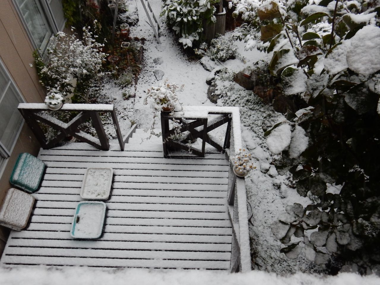 夜が明けたら雪国だった_c0025115_21094261.jpg