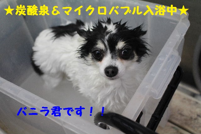 いっぱ～い！！_b0130018_6403224.jpg