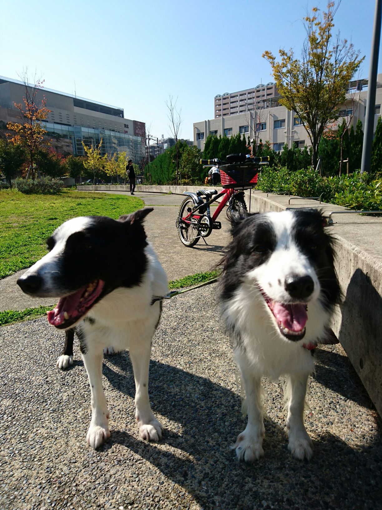 e0179321_20131827.jpg