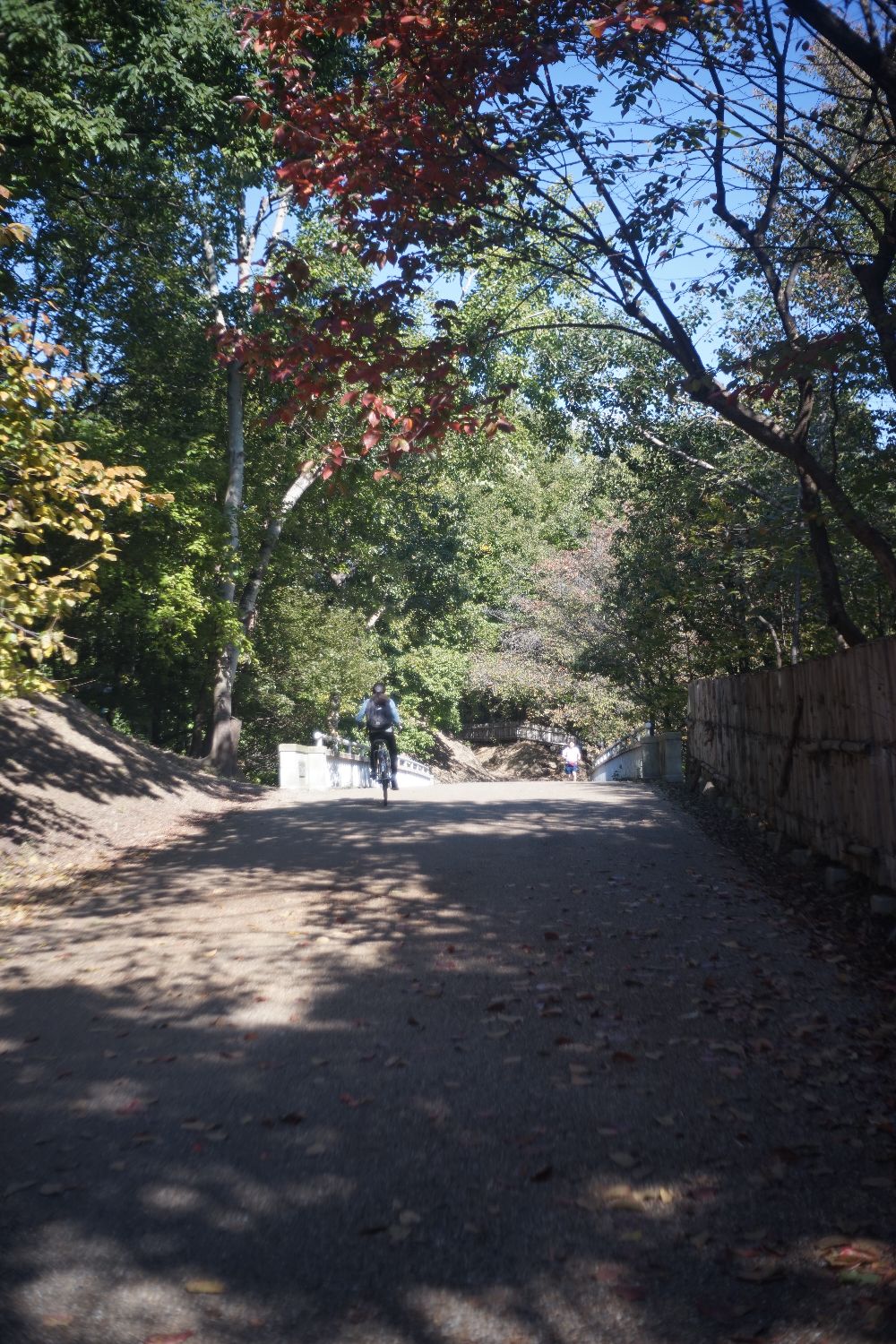 b0069128_1418821.jpg