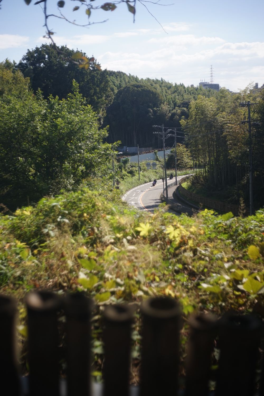 b0069128_14213959.jpg
