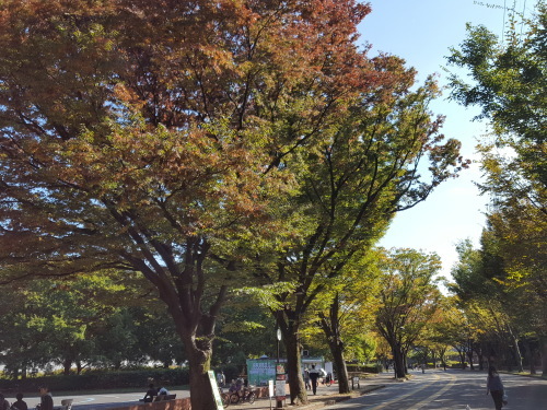 e0016828_12155929.jpg