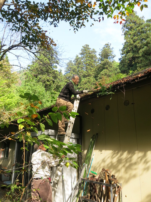 f0177529_17395148.jpg