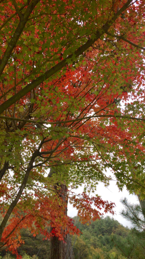 c0223630_16345174.jpg