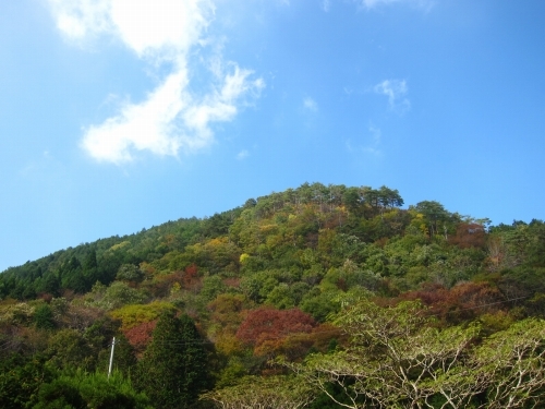 d0336530_21534499.jpg