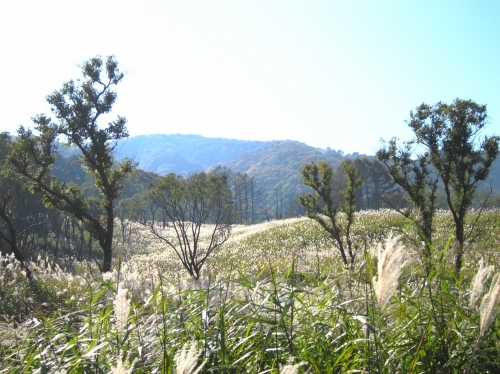 d0336530_21540697.jpg