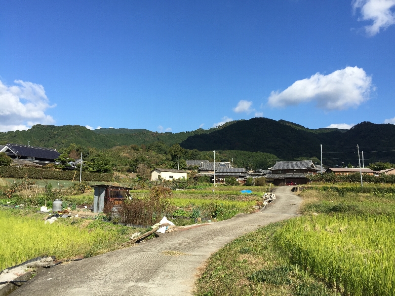 c0113733_9194798.jpg