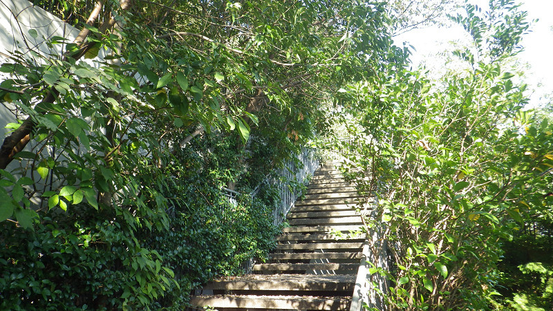 e0305733_07153166.jpg