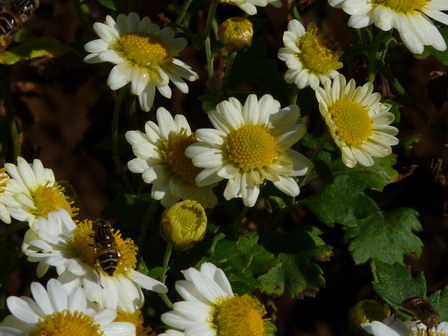 a0123836_1723851.jpg