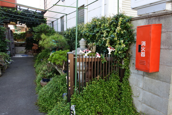 d0241937_17554710.jpg