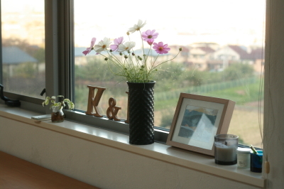 d0049238_16230841.jpg