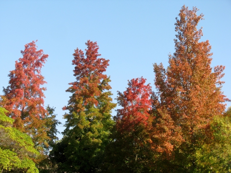 f0374041_16300802.jpg