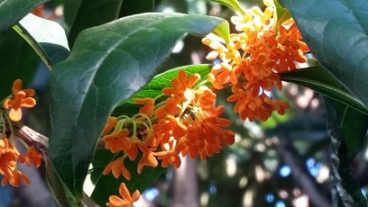 e0319042_00075240.jpg