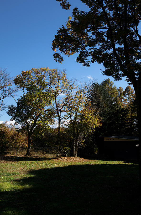 c0035245_00100667.jpg